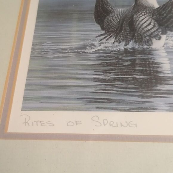 Rites of Spring by Don Li-Leger Framed Art Print Triple Matte Loons Singed - Picture 4 of 10